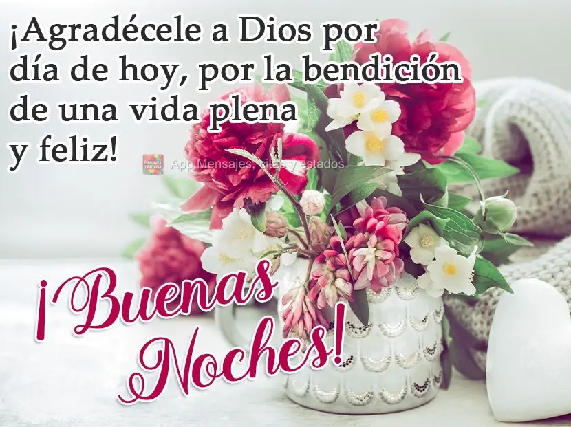 Agradeça a Deus pelo dia de hoje, pela bênção de uma vida plena e feliz!
  Boa Noite!