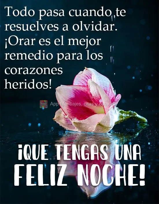 Tudo passa quando você resolve esquecer. Orar é o melhor remédio para corações feridos! 
 Tenha uma Boa Noite!