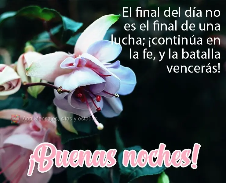 O final do dia não é o final de um luta, continue na fé e a batalha você vencerá!  Boa Noite!