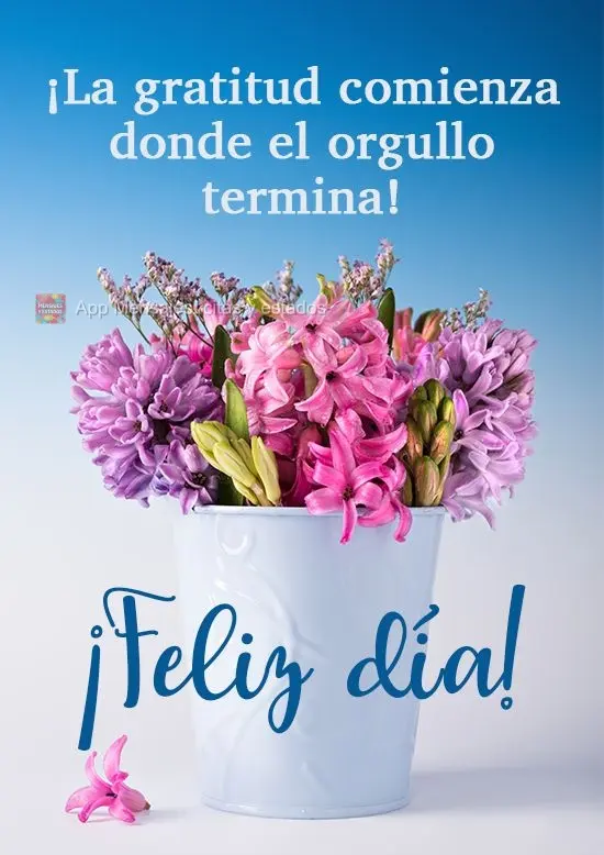 A gratidão começa onde o orgulho termina!  Bom Dia!