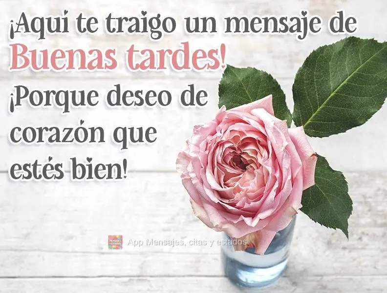 Te trouxe aqui uma mensagem de Boa tarde! Porque te desejo de coração que você fique bem!
