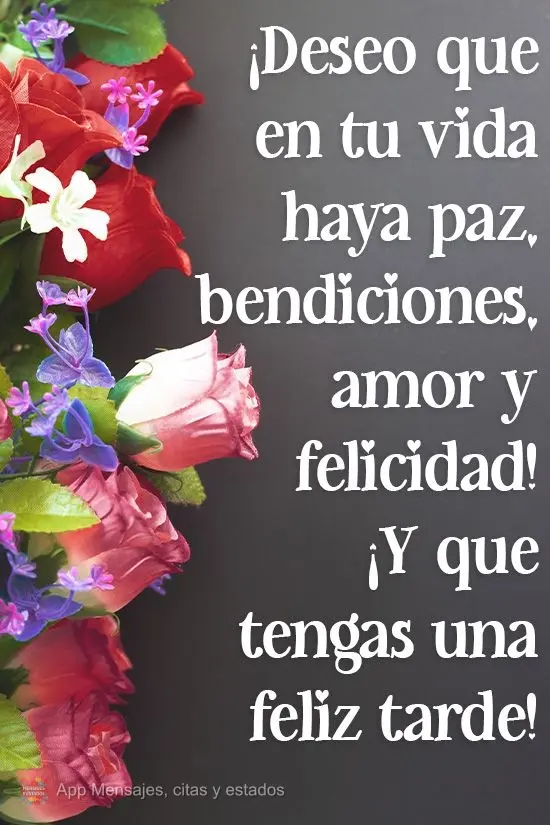 Desejo para sua vida paz, bênçãos, amor e felicidade! E que você tenha uma Feliz Tarde!  
