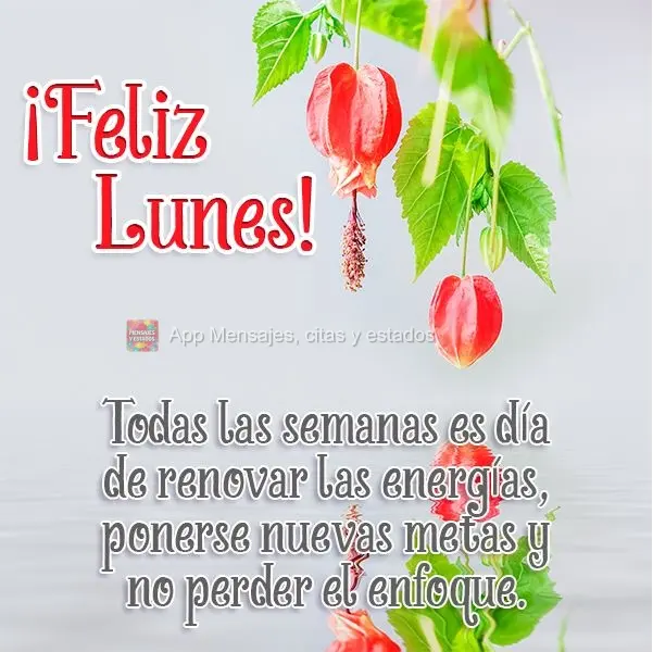 Todas las semanas es día de renovar las energías, ponerse nuevas metas y no perder el enfoque. ¡Feliz lunes!