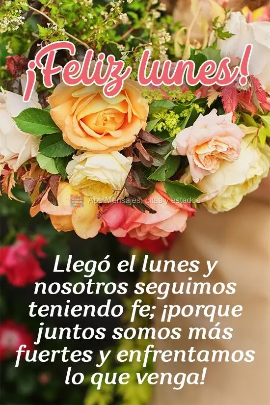 Llegó el lunes y nosotros seguimos teniendo fe; ¡porque juntos somos más fuertes y enfrentamos lo que venga! ¡Feliz lunes!