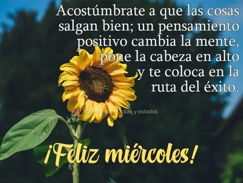 Se acostume com as coisas dando certo. Um pensamento positivo modifica mentes, ergue cabeças e te coloca na rota da realização.  Boa Quarta-feira!