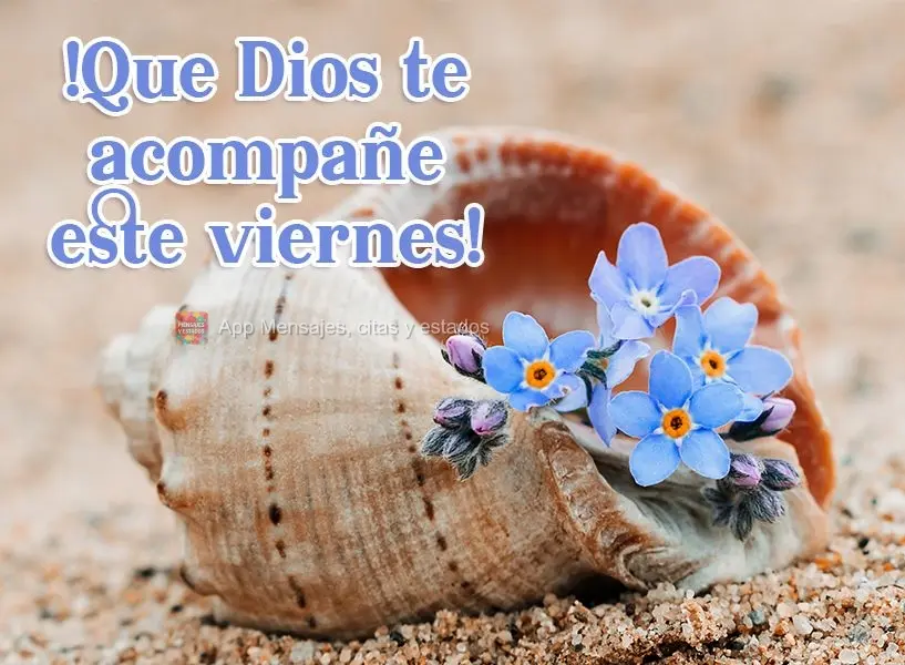 Que Deus lhe acompanhe nesta Sexta-feira! 
