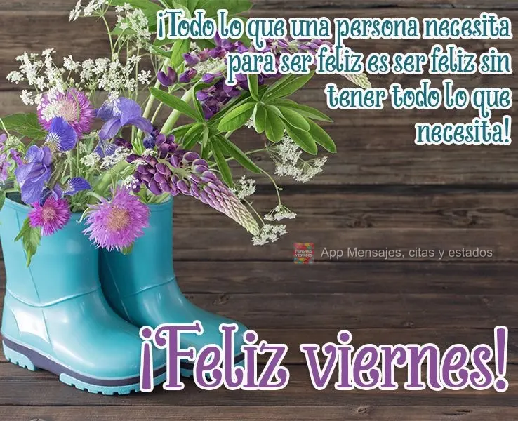 Tudo que uma pessoa precisa para ser feliz, é ser feliz sem ter tudo que precisa!  Boa Sexta-feira!