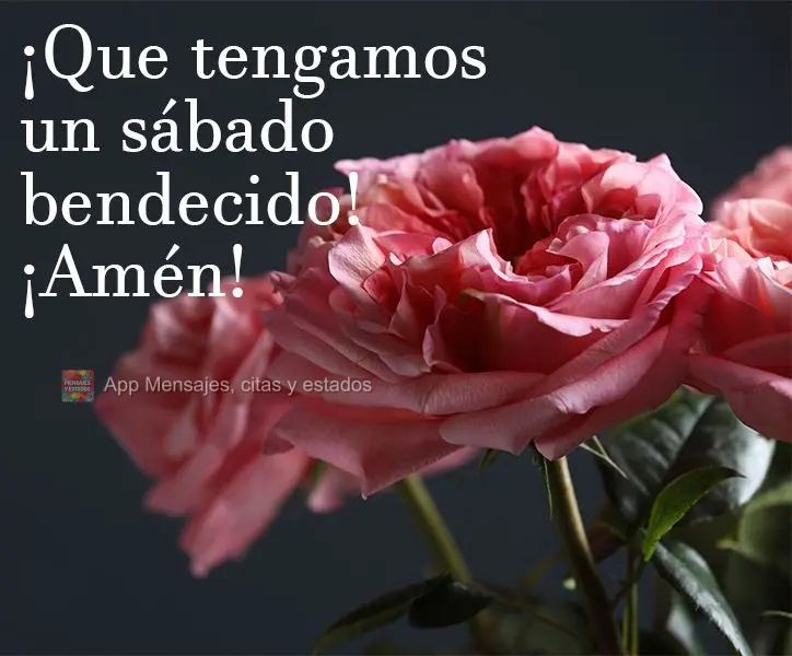 ¡Que tengamos un sábado bendecido! ¡Amén!