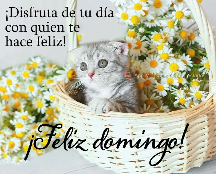 ¡Disfruta de tu día con quien te hace feliz! ¡Feliz domingo!