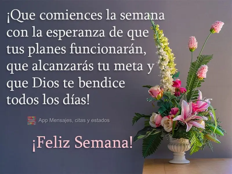 ¡Que comiences la semana con la esperanza de que tus planes funcionarán, que alcanzarás tu meta y que Dios te bendice todos los días! ¡Feliz semana!...