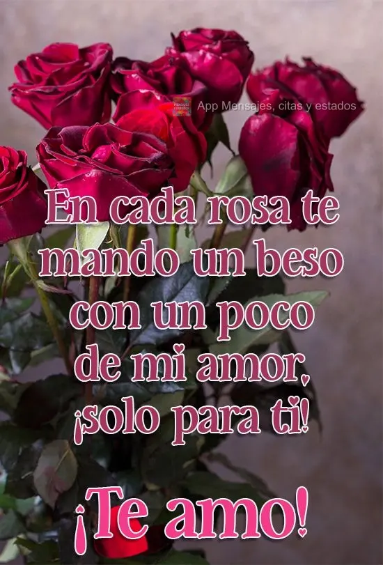 En cada rosa te mando un beso con un poco de mi amor, ¡solo para ti! ¡Te amo!
