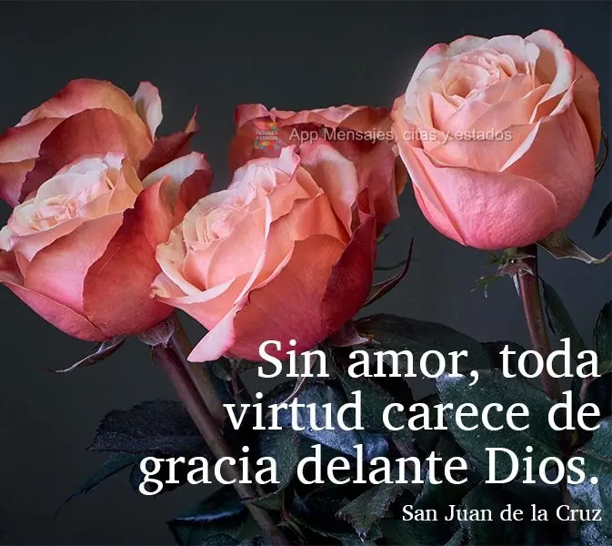 Sin amor, toda virtud carece de gracia delante Dios. San Juan de la Cruz