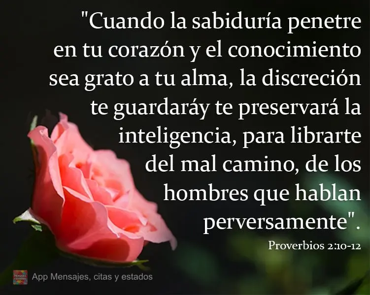"Cuando la sabiduría penetre en tu corazón y el conocimiento sea grato a tu alma, la discreción te guardará
y te preservará la inteligencia, para l...