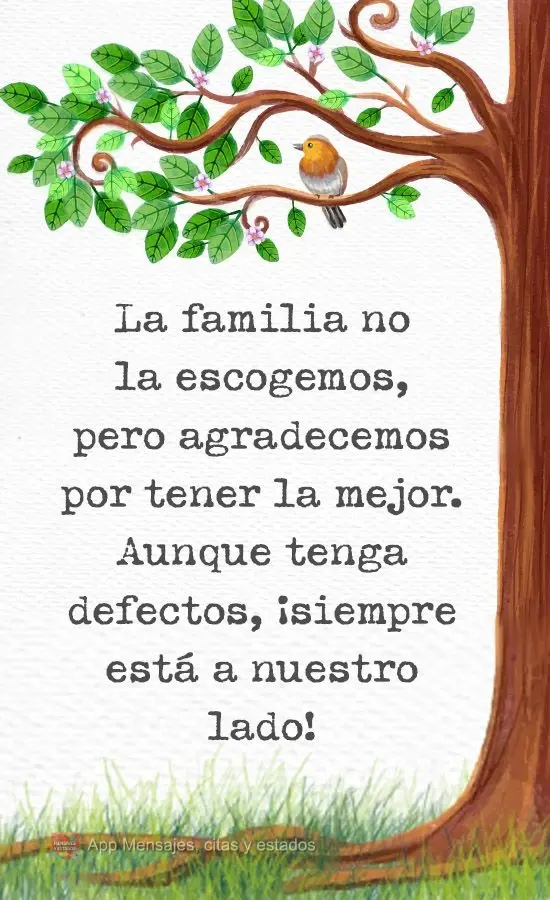 La familia no la escogemos, pero agradecemos por tener la mejor. Aunque tenga defectos, ¡siempre está a nuestro lado!