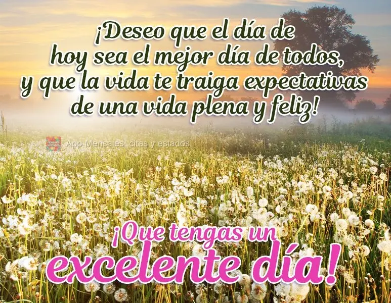 Desejo para o dia de hoje o melhor dia de todos, e que a vida lhe traga expectativas de uma vida plena e feliz! 
 Tenha um Ótimo Dia!
