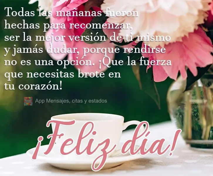 Todas as manhãs foram feitas para recomeçar, ser sua melhor versão e jamais se questionar, porque desistir não é opção e que a força que precisa,...