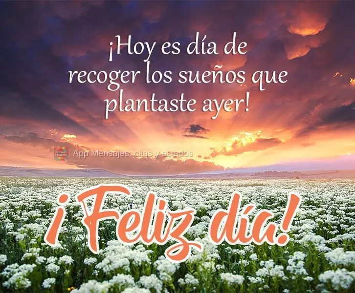 Hoje é dia de colher os sonhos que ontem você plantou!  Bom Dia!