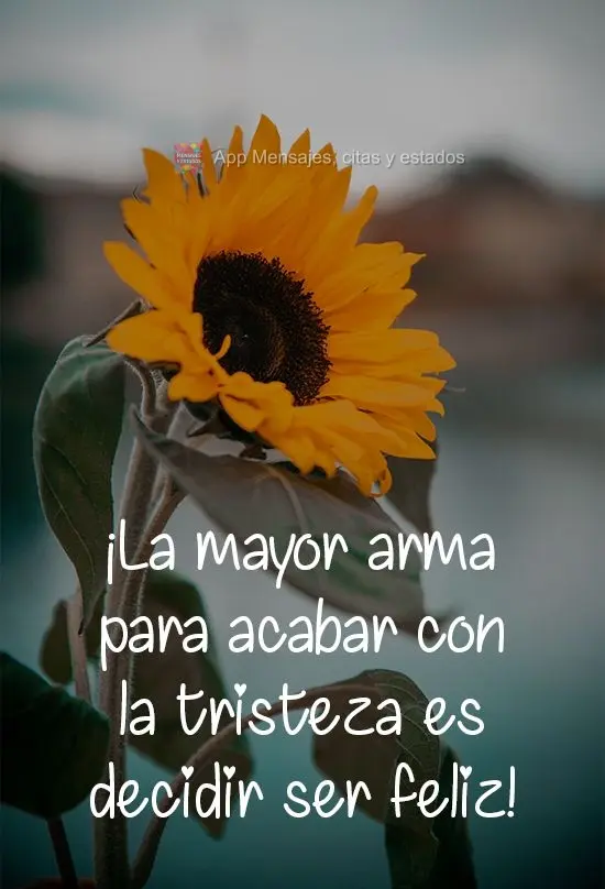 ¡La mayor arma para acabar con la tristeza es decidir ser feliz!