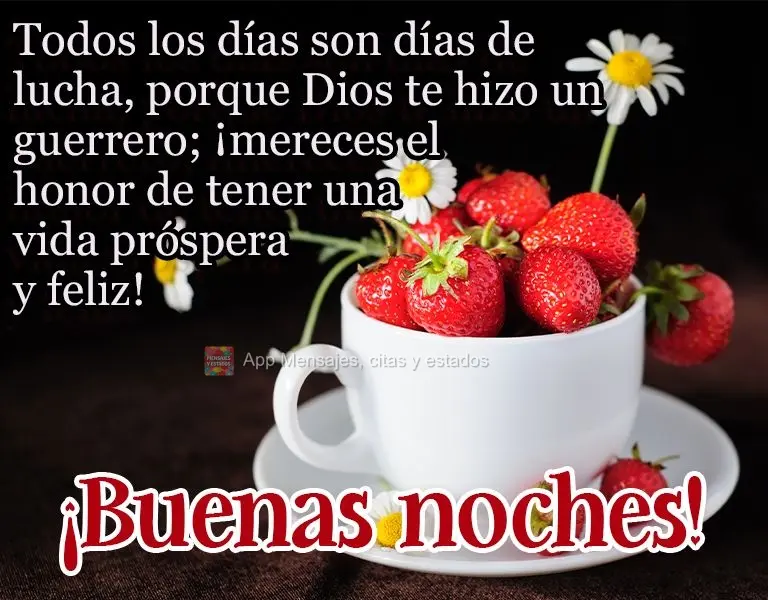 Todos los días son días de lucha, porque Dios te hizo un guerrero; ¡mereces el honor de tener una vida próspera y feliz! ¡Buenas noches!