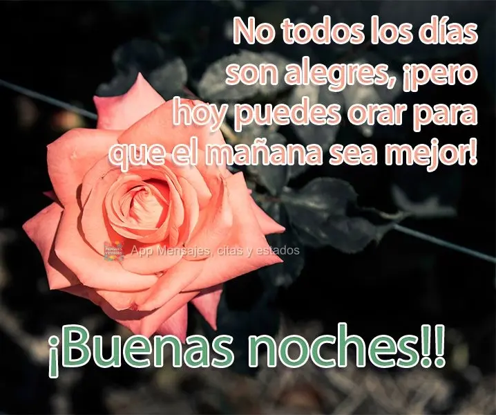 Nem todos os dias é dia de alegria, mas hoje você pode orar para que o amanhã seja melhor!  Boa Noite!
