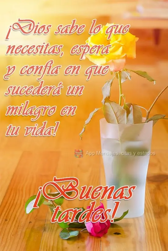 Deus sabe do que você precisa, aguarde e confie que um milagre irá acontecer na sua vida!  Boa Tarde! 