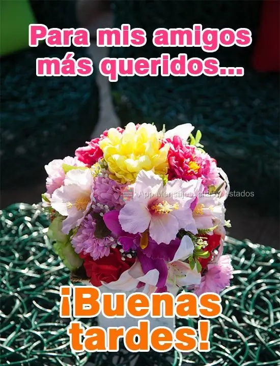 Para meus amigos mais queridos...
 Boa Tarde!