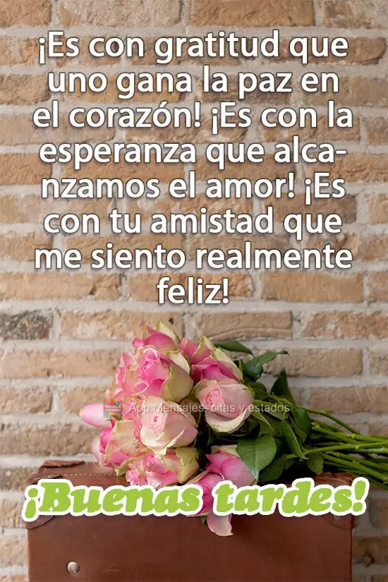 ¡Es con gratitud que uno gana la paz en el corazón! ¡Es con la esperanza que alcanzamos el amor! ¡Es con tu amistad que me siento realmente feliz! ¡...