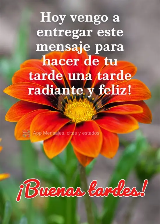 Hoje venho entregar essa mensagem para fazer da sua tarde, uma tarde alegre e feliz!  Boa Tarde!