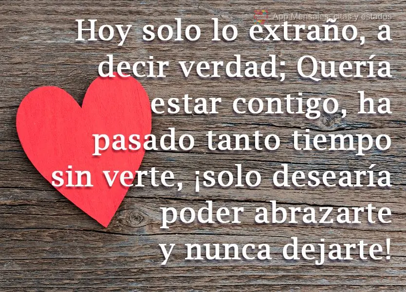 Hoy solo lo extraño, a decir verdad; Quería estar contigo, ha pasado tanto tiempo sin verte, ¡solo desearía poder abrazarte y nunca dejarte!