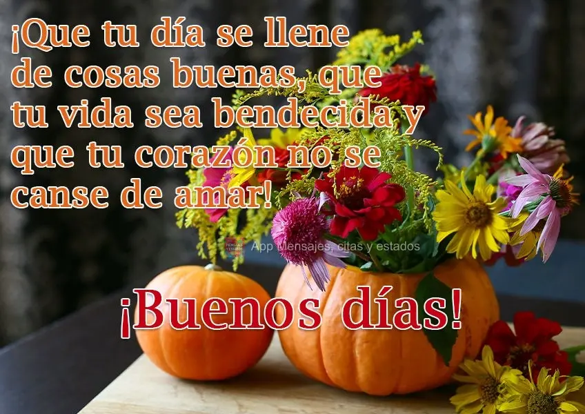 ¡Que tu día se llene de cosas buenas, que tu vida sea bendecida y que tu corazón no se canse de amar! ¡Buenos días!