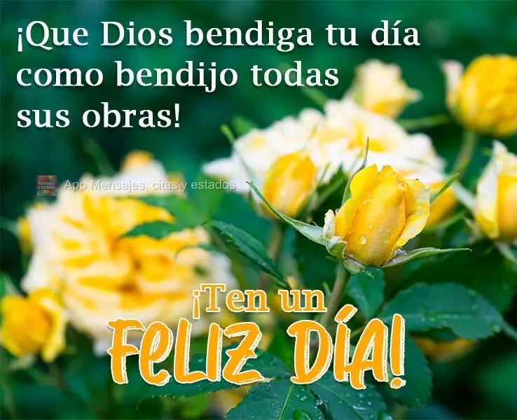 Que Deus abençoe teu dia como ele abençoou todas as suas obras!  Tenha um Feliz Dia!