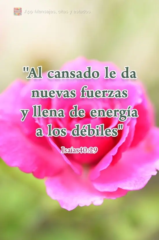 "Al cansado le da nuevas fuerzas y llena de energía a los débiles". Isaías 40:29