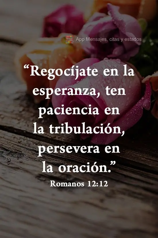"Regocíjate en la esperanza, ten paciencia en la tribulación, persevera en la oración". Romanos 12:12