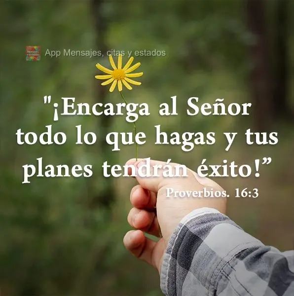 "¡Encarga al Señor todo lo que hagas y tus planes tendrán éxito!" Proverbios 16: 3