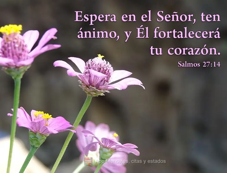 "Espera en el Señor, ten ánimo, y Él fortalecerá tu corazón". Salmo 27:14