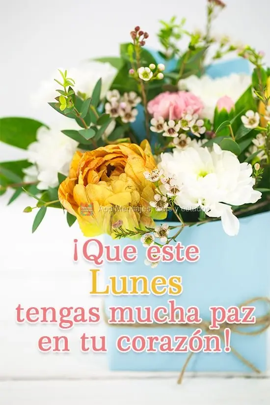¡Que este lunes tengas mucha paz en tu corazón!