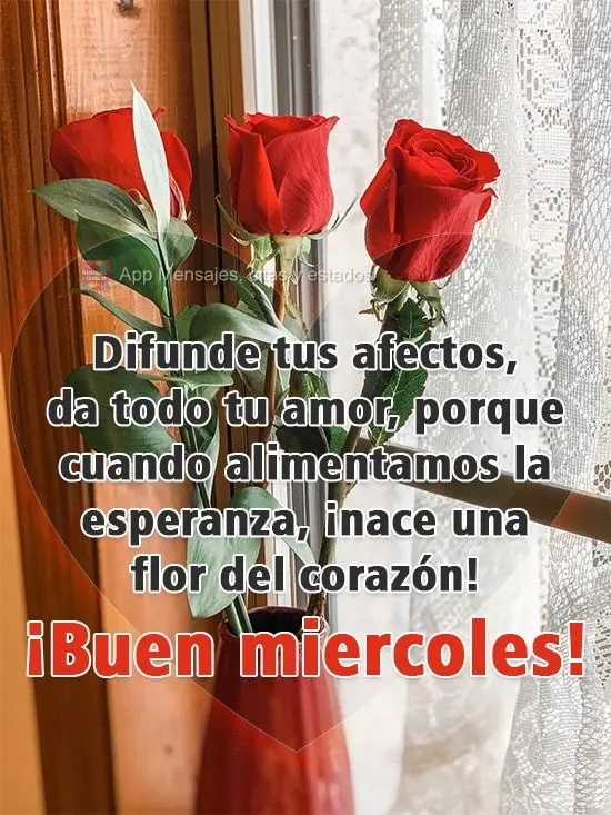 Espalhe seus carinhos, entregue todo o seu amor, porque quando a gente alimenta a esperança, do coração nasce uma flor! 
 Boa Quarta-feira!