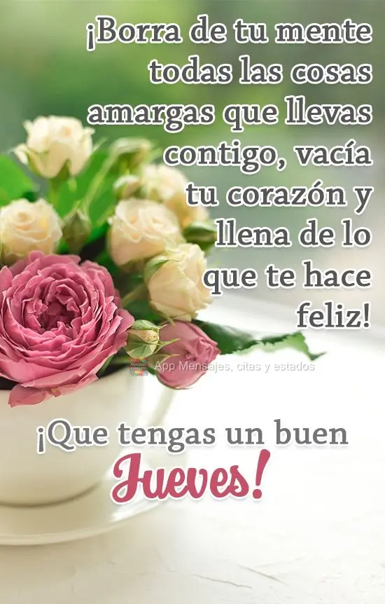 ¡Borra de tu mente todas las cosas amargas que llevas contigo, vacía tu corazón y llena de lo que te hace feliz! ¡Que tengas un buen jueves!