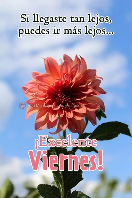 Si llegaste tan lejos, puedes ir más lejos ... ¡Excelente viernes!