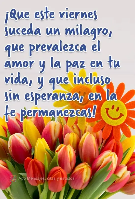 Que nesta Sexta-feira um milagre aconteça, que o amor e a paz em sua vida prevaleça,  e que mesmo sem esperanças, na fé você permaneça!
