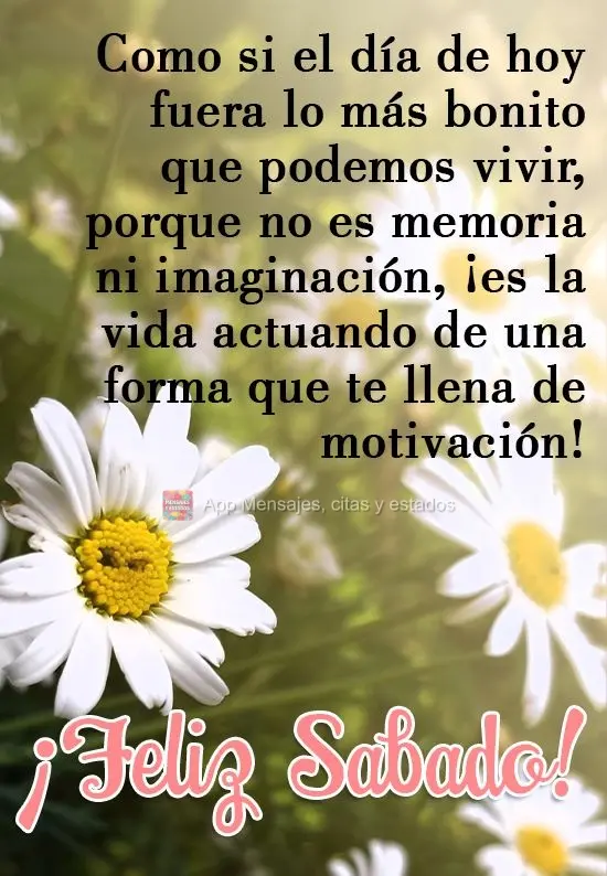 Como si el día de hoy fuera lo más bonito que podemos vivir, porque no es memoria ni imaginación, ¡es la vida actuando de una forma que te llena de m...