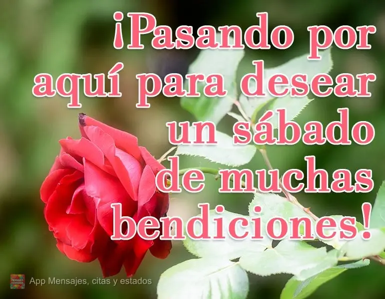 ¡Pasando por aquí para desear un sábado de muchas bendiciones!