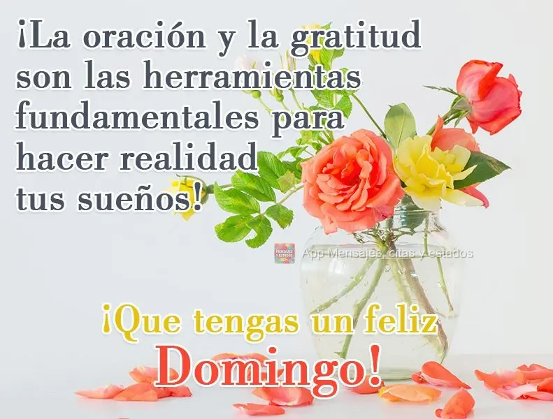 ¡La oración y la gratitud son las herramientas fundamentales para hacer realidad tus sueños! ¡Que tengas un feliz Domingo!