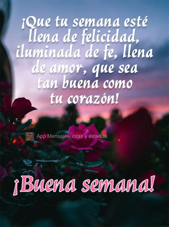 ¡Que tu semana esté llena de felicidad, iluminada de fe, llena de amor, que sea tan buena como tu corazón! ¡Buena semana!
