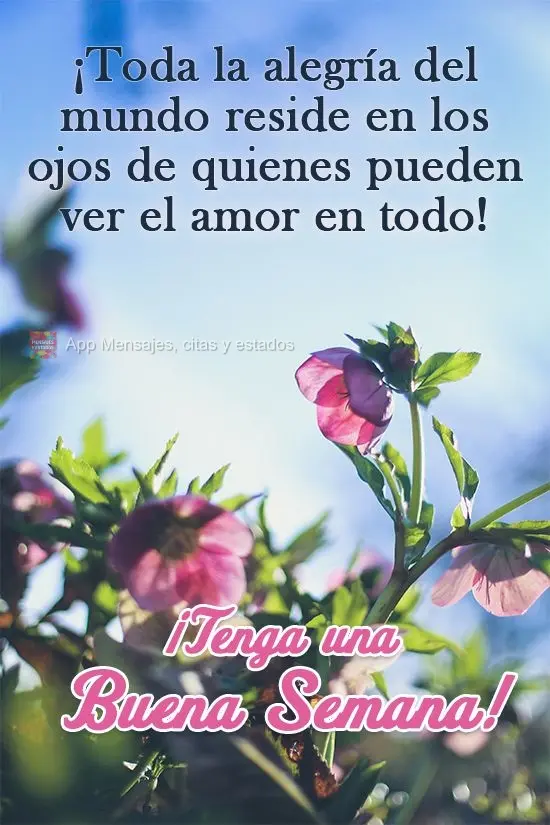 Toda a alegria do mundo reside nos olhos de quem consegue ver amor em tudo! 
 Tenha uma Boa Semana!