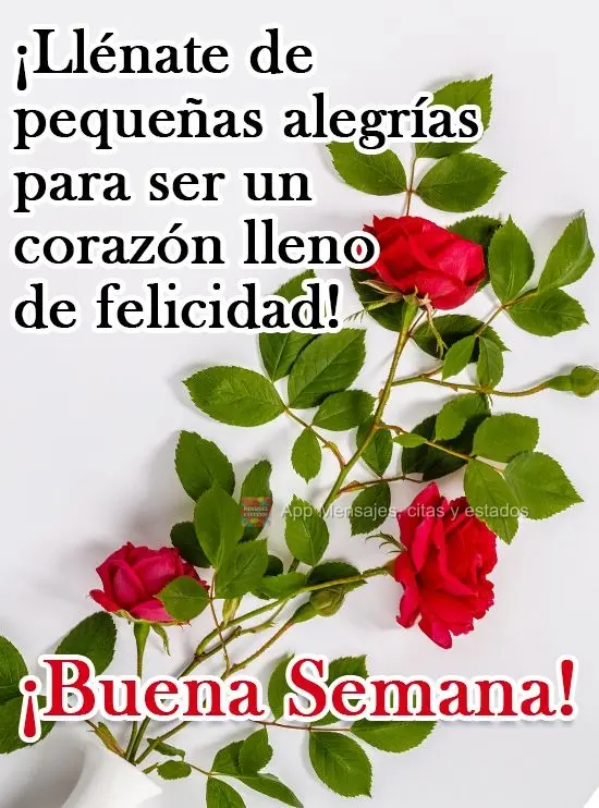 ¡Llénate de pequeñas alegrías para ser un corazón lleno de felicidad! ¡Buena semana!