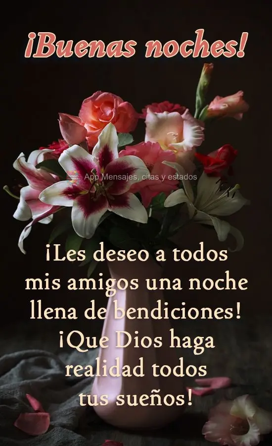 Desejo para todos os meus amigos uma noite repleta de bênçãos! Que Deus realize todos os seus sonhos!  Boa Noite! 