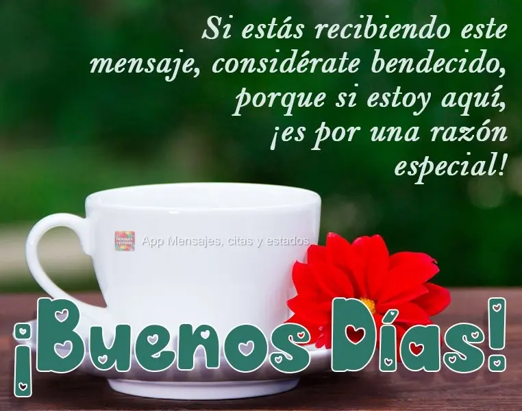 Si estás recibiendo este mensaje, considérate bendecido, porque si estoy aquí, ¡es por una razón especial! ¡Buenos días!