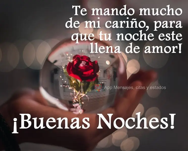 Envio um bocado de meus carinhos, para que sua noite seja cheia de amor!  Boa Noite!