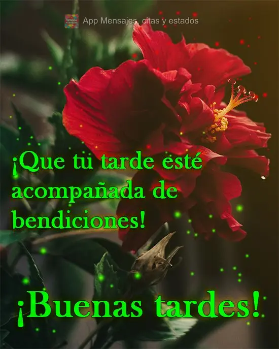 Que sua tarde venha acompanhada de bênçãos! 
 Boa Tarde!